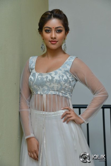 Anu-Emmanuel-at-Kittu-Unnaadu-Jagratha-Movie-Gummadikaya-Function